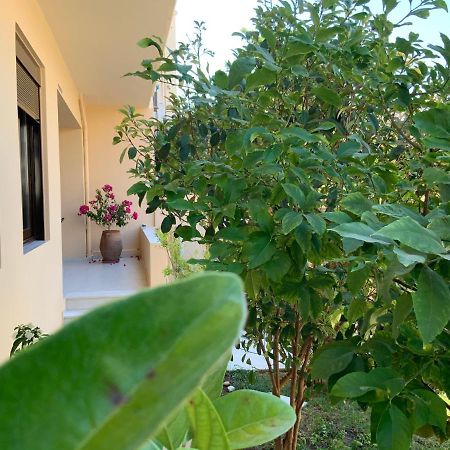 Antonis Chania City Family House Exterior foto